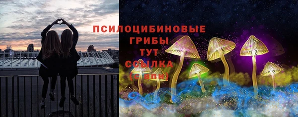 не бодяженный Арсеньев